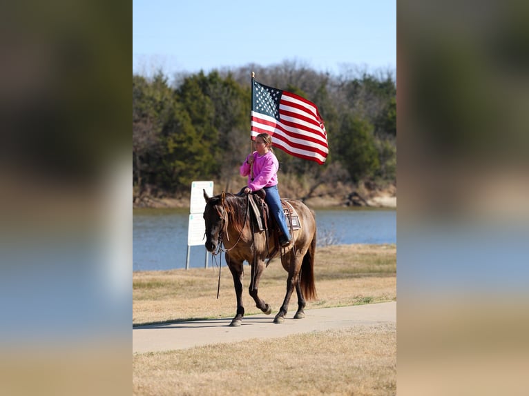 Quarter horse américain Hongre 5 Ans 150 cm Grullo in Forney