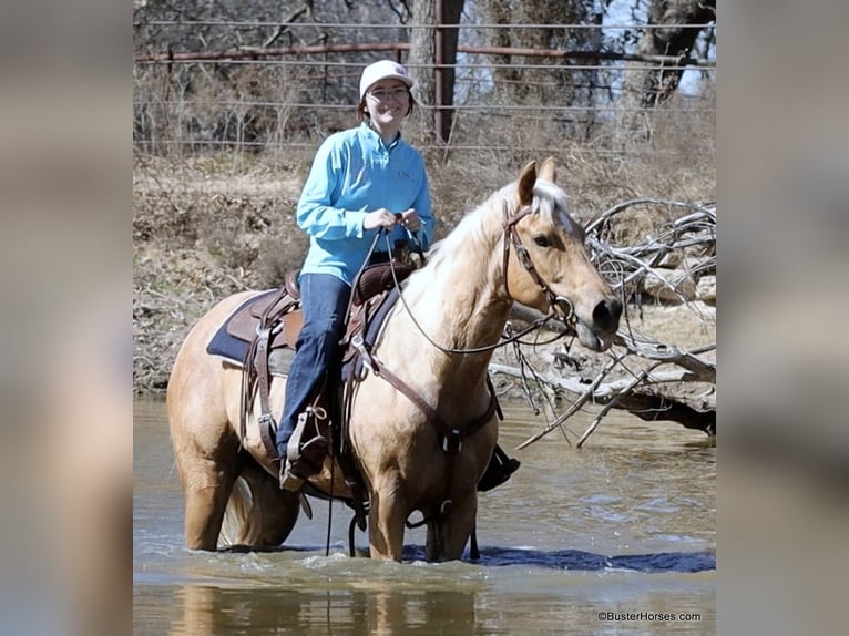 Quarter horse américain Hongre 5 Ans 152 cm Palomino in Weatherford TX