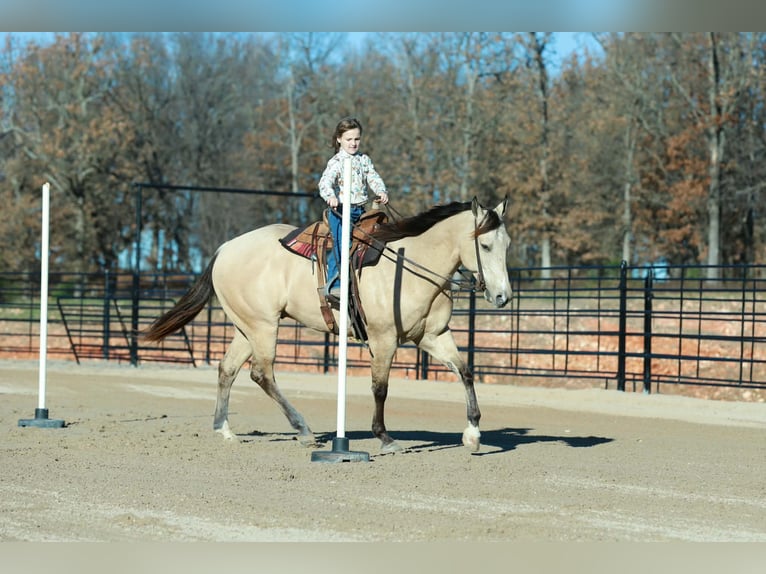 Quarter horse américain Hongre 6 Ans Buckskin in Purdy
