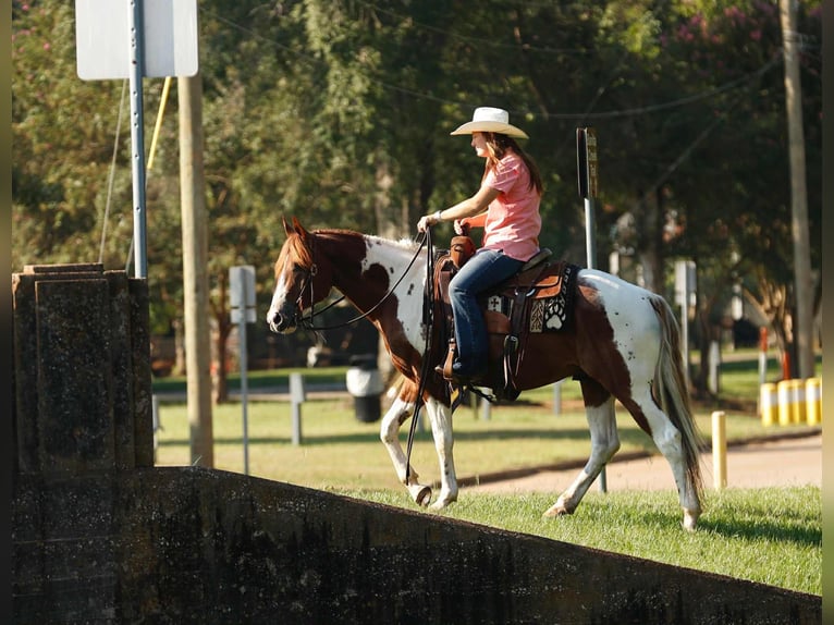 Quarter horse américain Hongre 7 Ans 150 cm Tobiano-toutes couleurs in Rusk TX