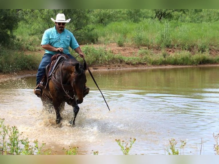 Quarter horse américain Hongre 7 Ans Bai cerise in Stephenville TX