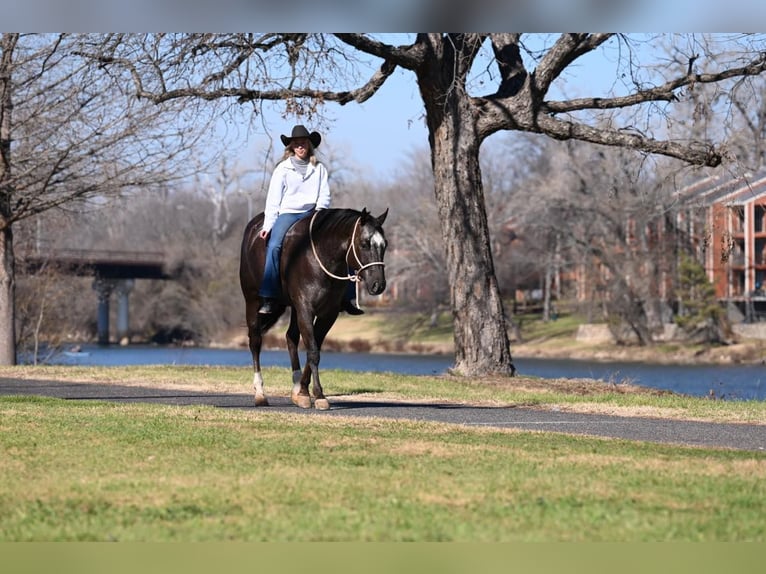 Quarter horse américain Hongre 7 Ans Bai cerise in Waco TX