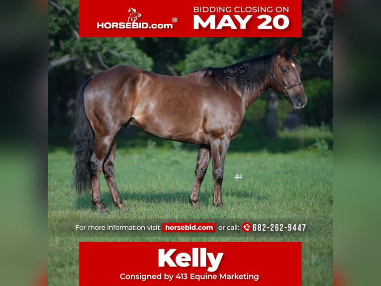 Quarter horse américain Hongre 8 Ans 152 cm Alezan brûlé in Weatherford