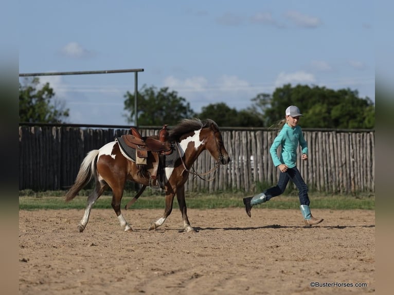 Quarter horse américain Hongre 9 Ans 109 cm Tobiano-toutes couleurs in Weatherford TX