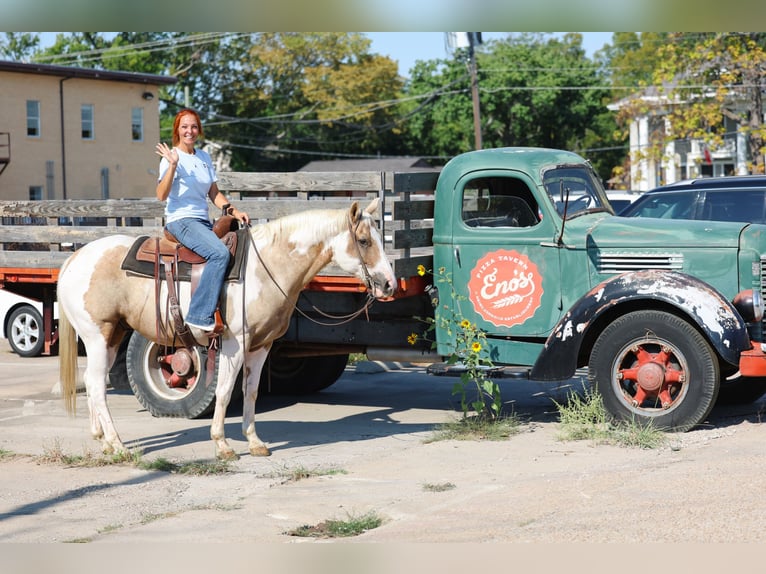 Quarter horse américain Hongre 9 Ans 152 cm Pinto in Forney
