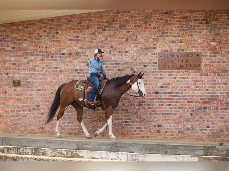Quarter horse américain Hongre 9 Ans 157 cm Overo-toutes couleurs in Rusk TX