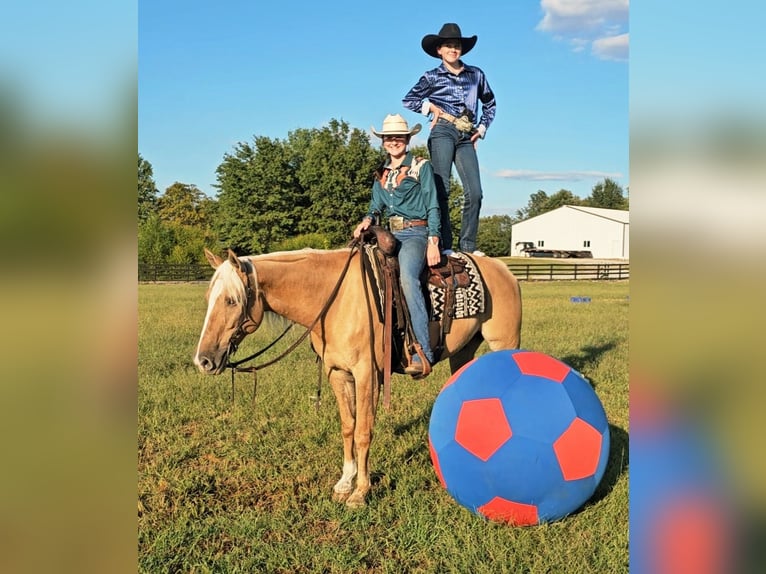 Quarter horse américain Hongre 9 Ans 160 cm Palomino in Robards