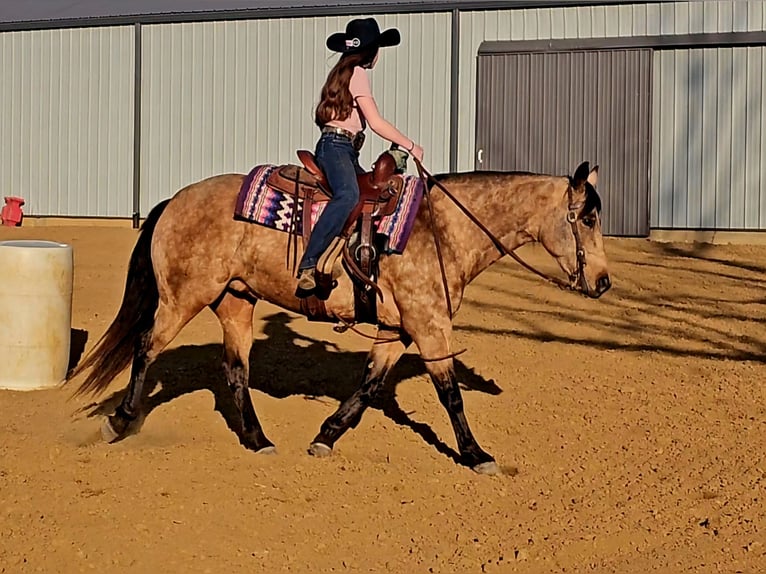 Quarter horse américain Jument 10 Ans 142 cm Buckskin in Robards, KY
