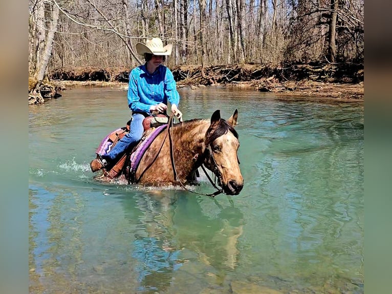 Quarter horse américain Jument 10 Ans 142 cm Buckskin in Robards, KY