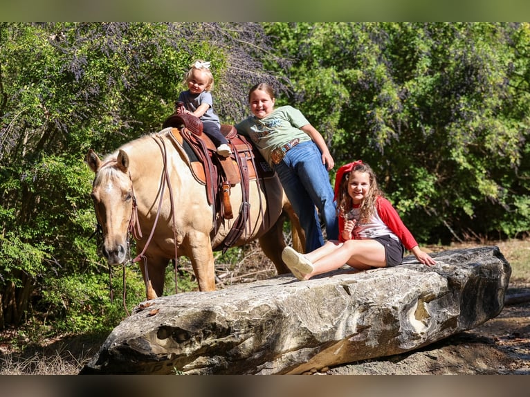 Quarter horse américain Jument 10 Ans 157 cm Palomino in Forney