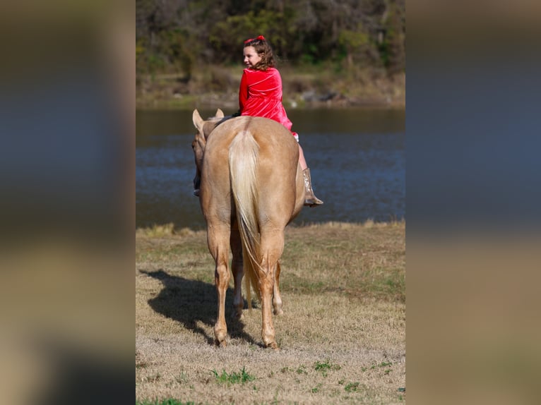 Quarter horse américain Jument 10 Ans 157 cm Palomino in Forney
