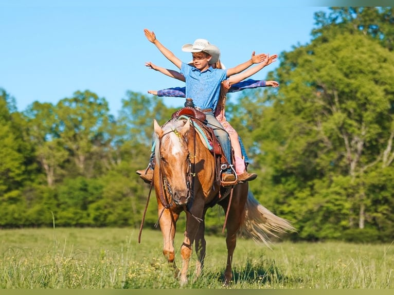 Quarter horse américain Jument 11 Ans 152 cm Palomino in Lyles