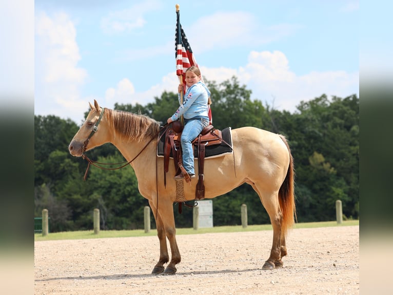 Quarter horse américain Jument 11 Ans 163 cm Champagne in Forney