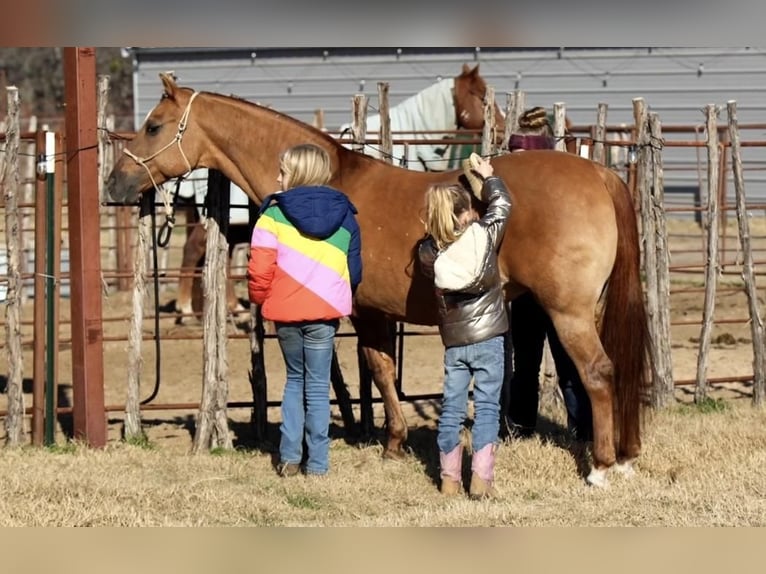 Quarter horse américain Jument 12 Ans 142 cm Isabelle in Weatherford, TX