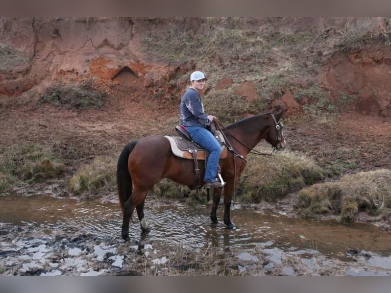 Quarter horse américain Jument 12 Ans 147 cm in Lawton