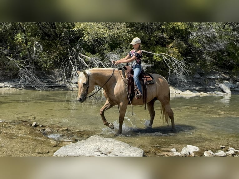 Quarter horse américain Jument 13 Ans 152 cm Palomino in Cleburne