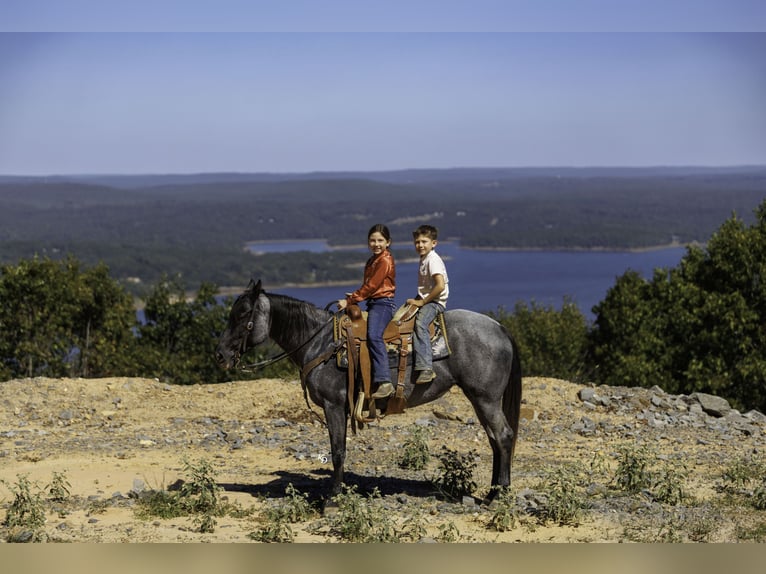 Quarter horse américain Jument 14 Ans Rouan Bleu in Bee Branch