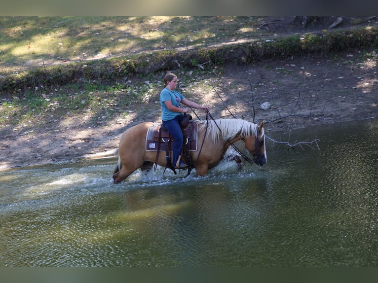 Quarter horse américain Jument 16 Ans Palomino in Terrell