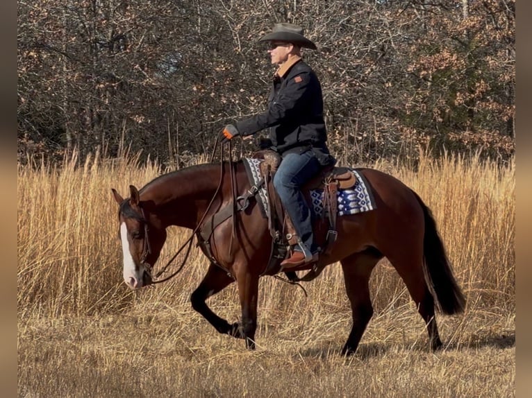 Quarter horse américain Jument 4 Ans 152 cm Bai cerise in Whitesboro