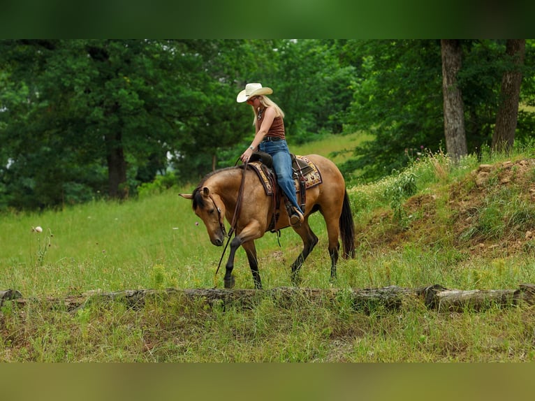 Quarter horse américain Jument 4 Ans Buckskin in Quitman