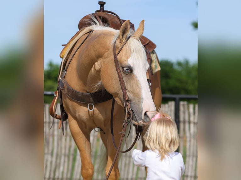 Quarter horse américain Jument 4 Ans Palomino in Rusk