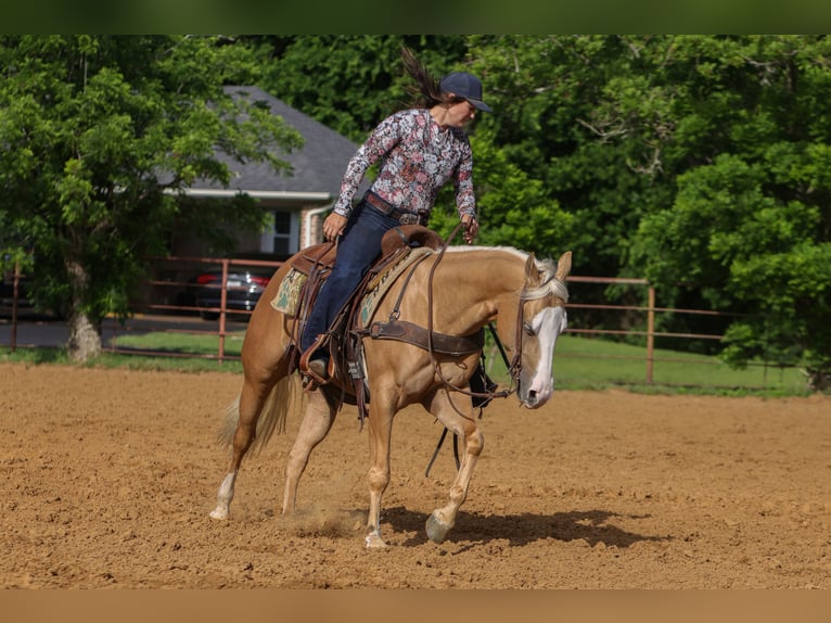 Quarter horse américain Jument 4 Ans Palomino in Rusk