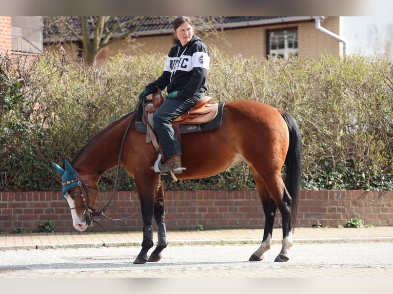 Quarter horse américain Jument 4 Ans  in Salzgitter Groß Mahner