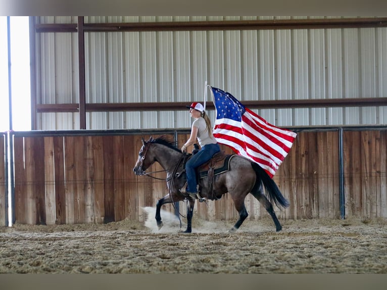 Quarter horse américain Jument 5 Ans 142 cm Roan-Bay in Decatur