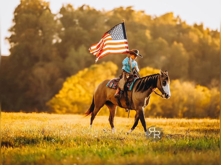 Quarter horse américain Jument 5 Ans 152 cm Isabelle in Lyles, TN