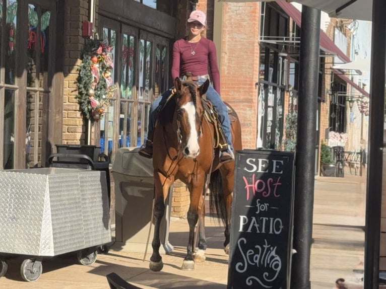 Quarter horse américain Jument 5 Ans 157 cm Bai cerise in Cleburne