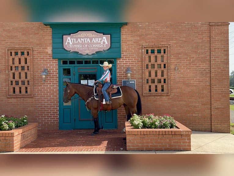 Quarter horse américain Jument 6 Ans 147 cm Bai cerise in Bloomburg