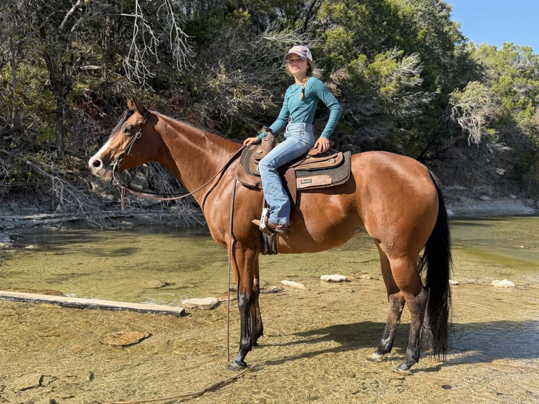 Quarter horse américain Jument 6 Ans 157 cm Bai cerise in Cleburne