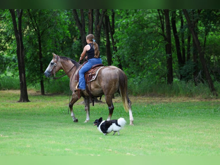 Quarter horse américain Jument 6 Ans Alezan cuivré in Forney