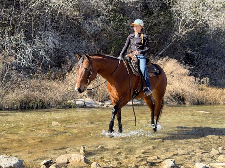 Quarter horse américain Jument 7 Ans 147 cm Bai cerise in Cleburne