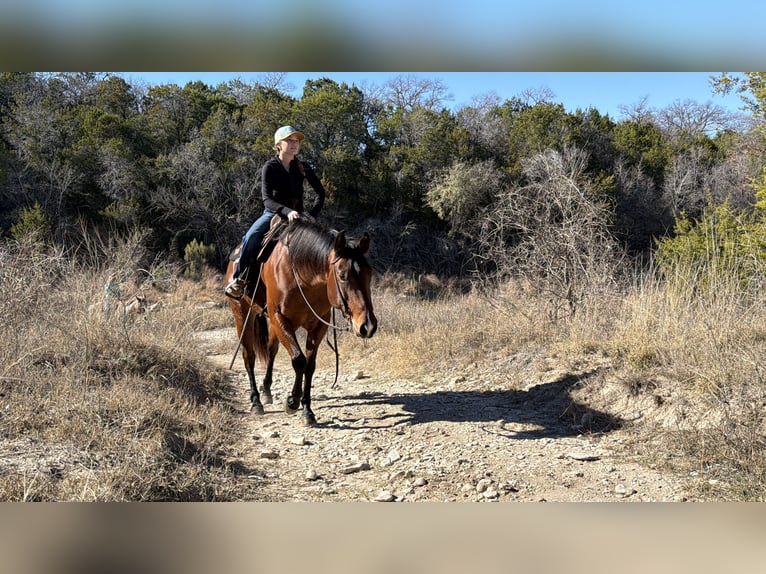 Quarter horse américain Jument 7 Ans 147 cm Bai cerise in Cleburne
