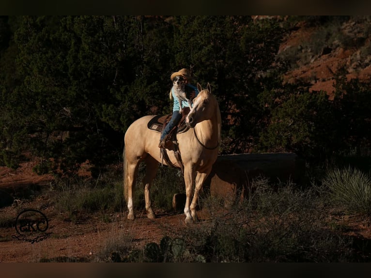 Quarter horse américain Jument 7 Ans Palomino in Canyon