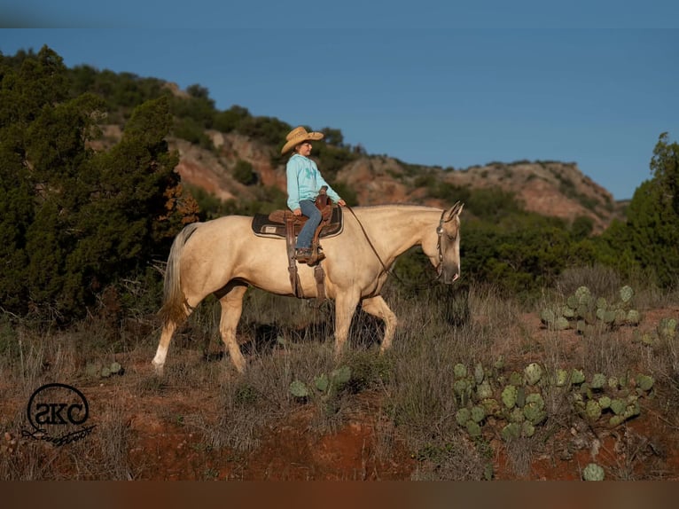Quarter horse américain Jument 7 Ans Palomino in Canyon