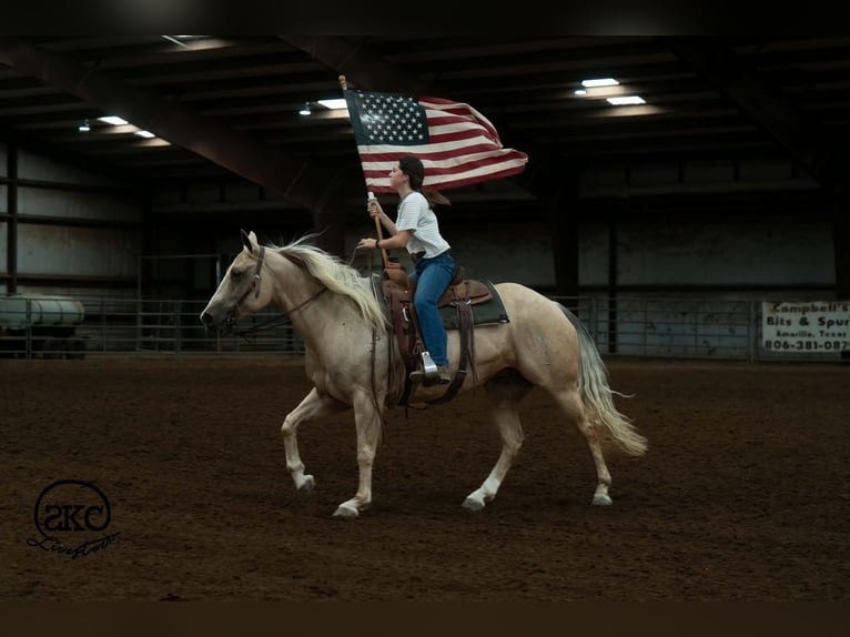 Quarter horse américain Jument 7 Ans Palomino in Canyon