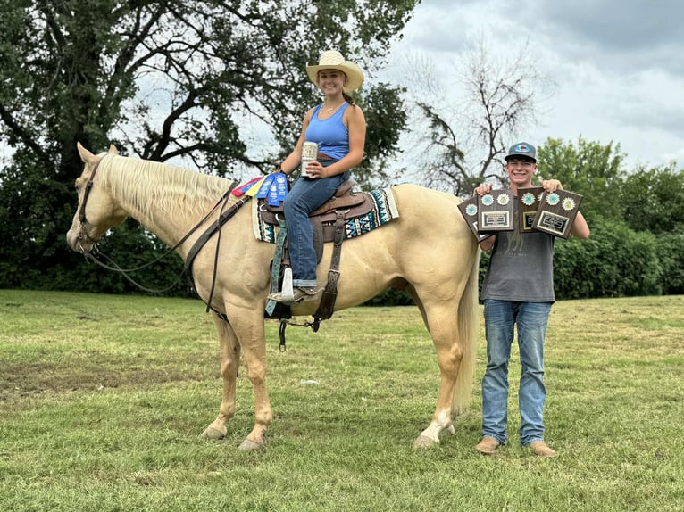 Quarter horse américain Jument 8 Ans 160 cm Palomino in Princeton MO