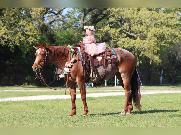 Quarter horse américain Jument 8 Ans Rouan Rouge in Burleson, TX