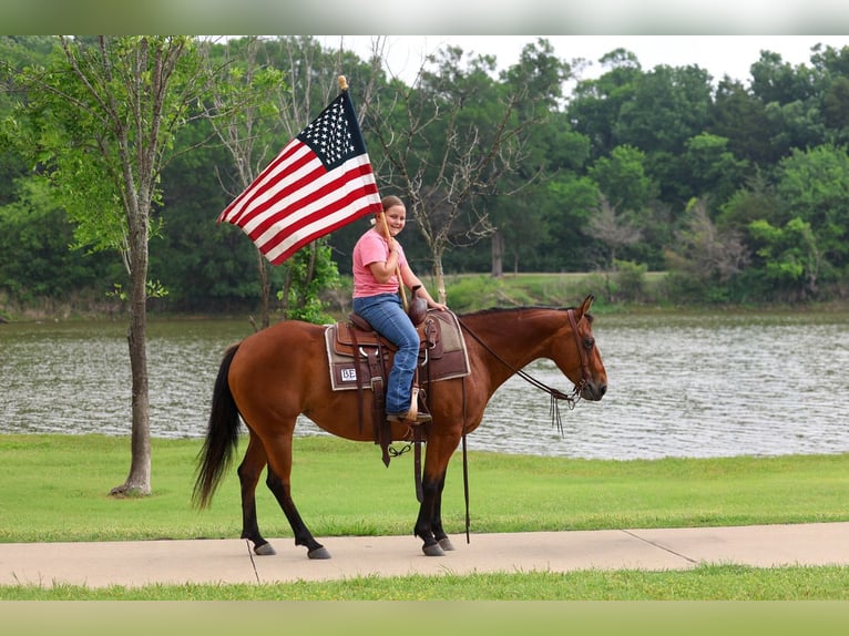 Quarter horse américain Jument 9 Ans 142 cm Bai cerise in Forney