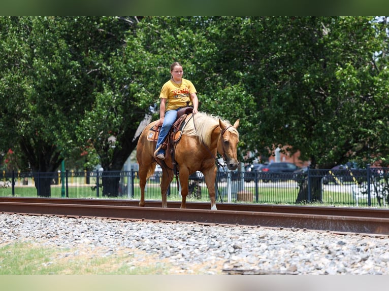 Quarter horse américain Jument 9 Ans 142 cm Palomino in Talty, TX