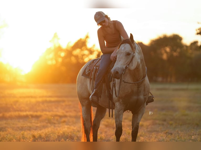 Quarter horse américain Jument 9 Ans 157 cm Buckskin in Terrell