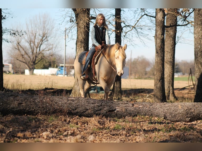 Quarter horse américain Jument 9 Ans Champagne in Plano