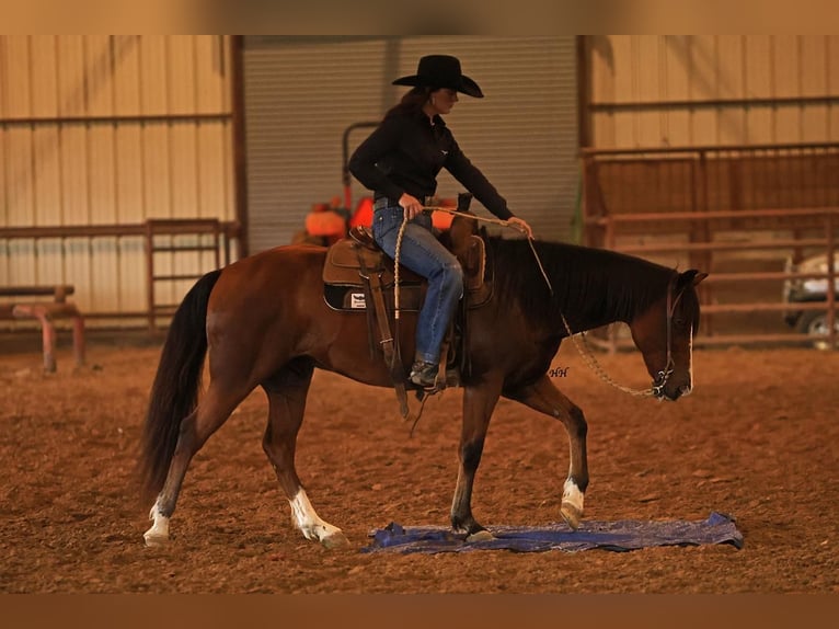 Quarter-ponny Valack 7 år 145 cm Brun in Joshua, TX