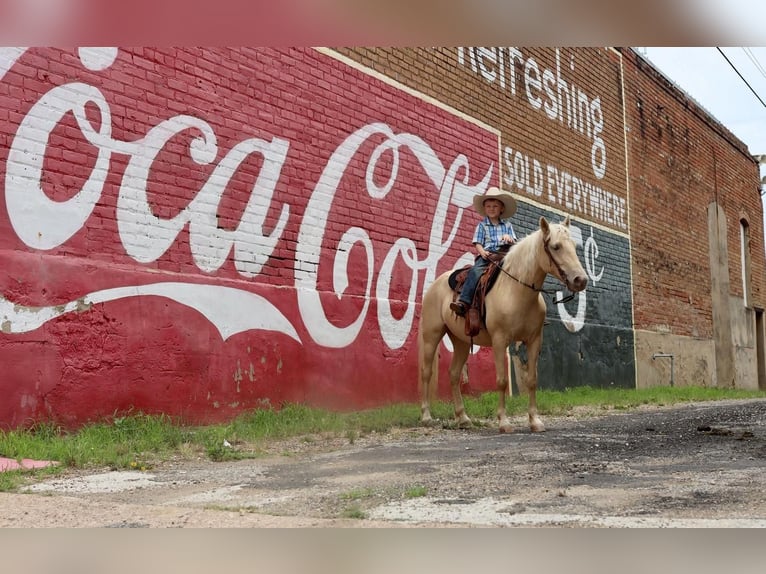 Quarter-ponny Valack 8 år 130 cm Palomino in Grand Saline, TX