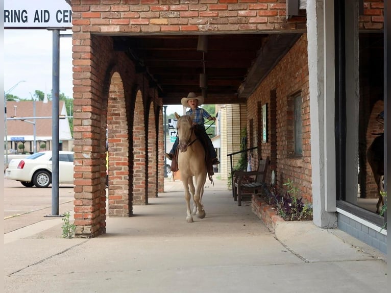 Quarter-ponny Valack 8 år 130 cm Palomino in Grand Saline, TX