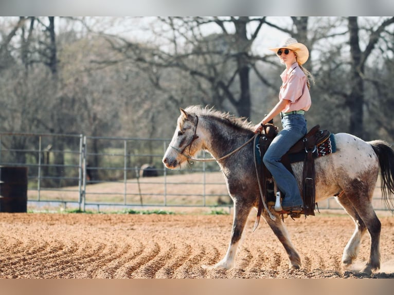 Quarter Pony Castrone 12 Anni 122 cm in Carthage, TX