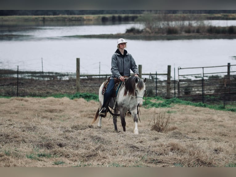 Quarter Pony Castrone 12 Anni 122 cm in Carthage, TX