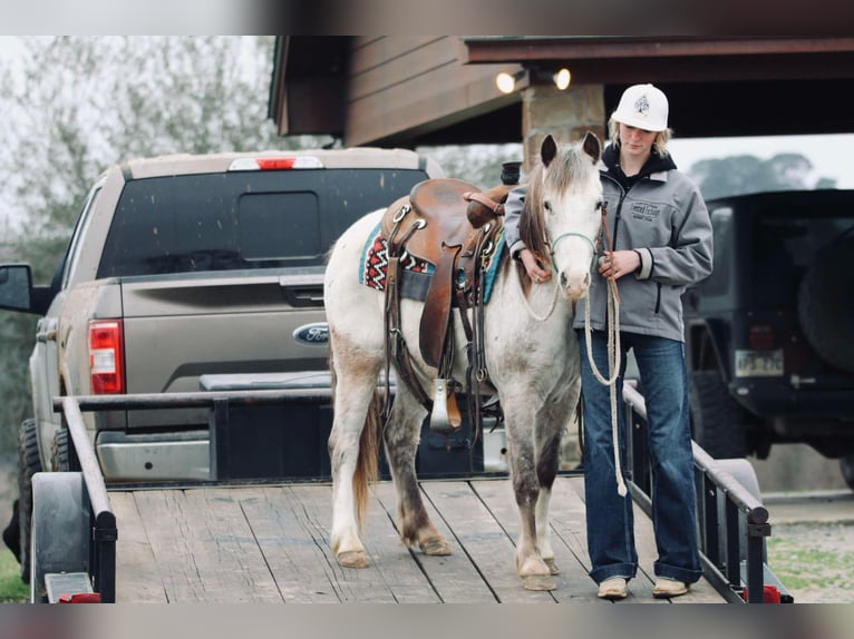 Quarter Pony Castrone 12 Anni 122 cm in Carthage, TX